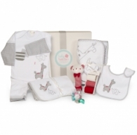 {focus_keyword} The gift of baby gifts giraffe box